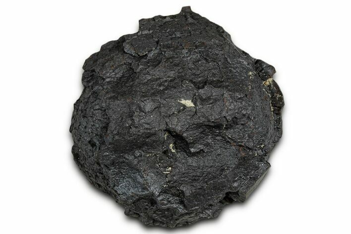 Dragon Scale Stone (Iron, Manganese, Siderite Nodule) #330281